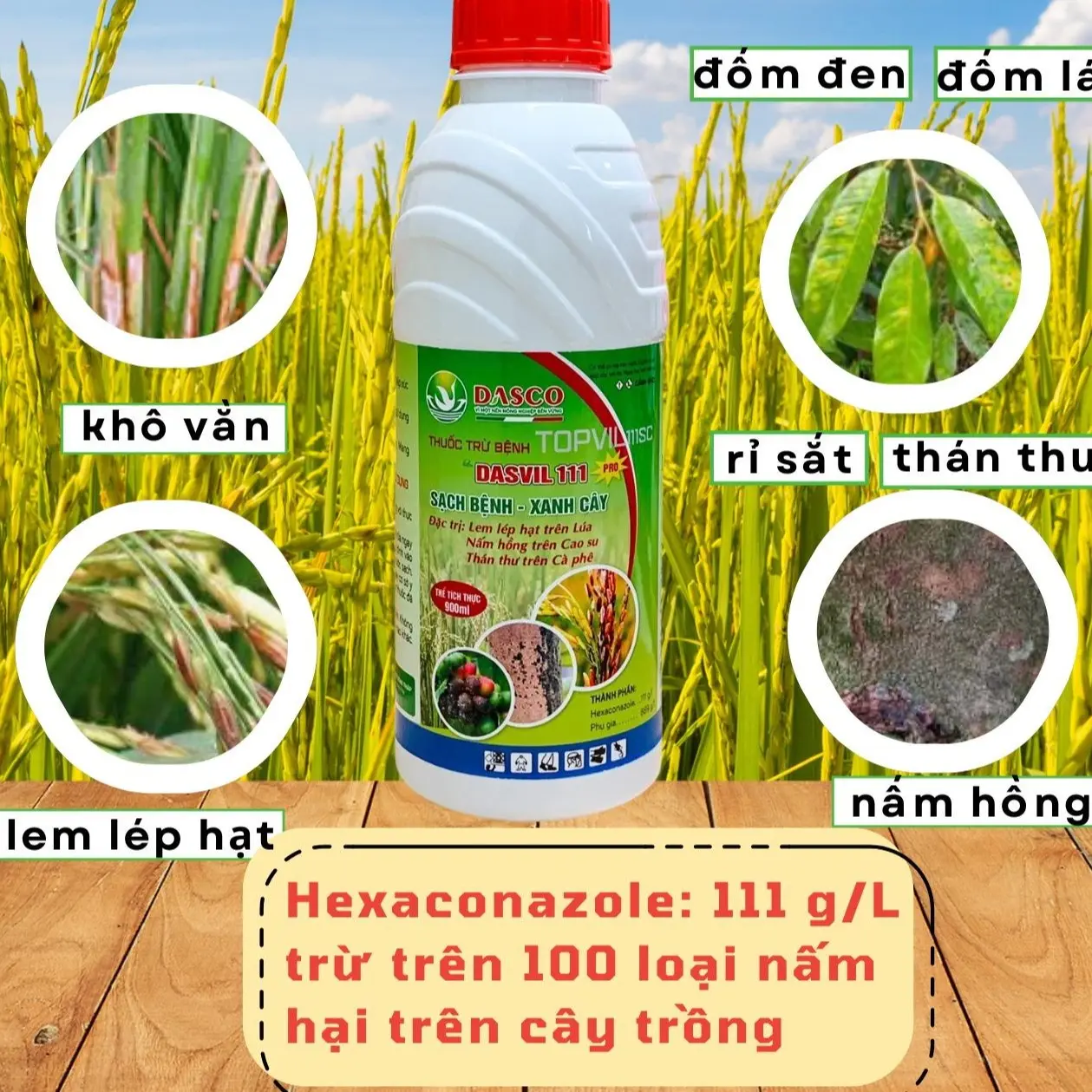 Thuốc trừ nấm bệnh thán thư, lem lép lép hạt, khô vằn đốm lá ANVIL 111 (Hexaconazole 111SC) phổ rộng và phòng ngừa các loại nấm gây hại trên  cây trồng (Chai 900ml )