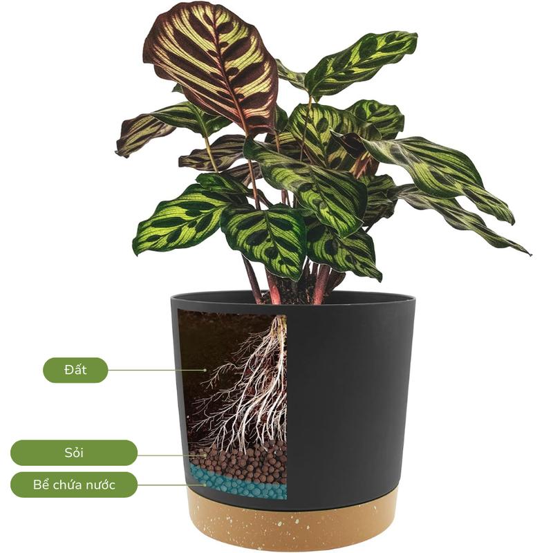 Product Introduction of Chậu trồng cây tự tưới thông minh MONROVIA cho hoa, cây cảnh trong nhà và ngoài trời hình trụ tròn 5