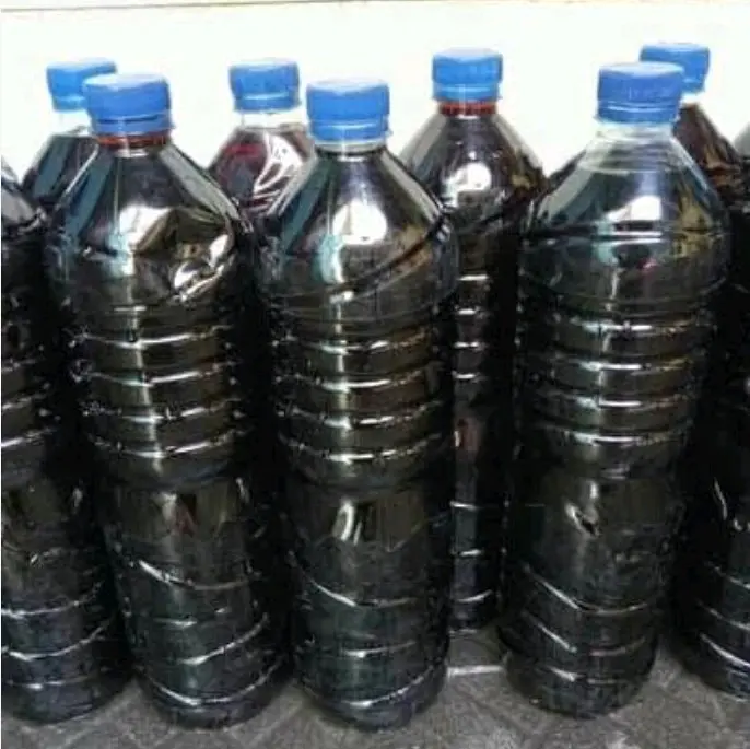 Ketapang Betta