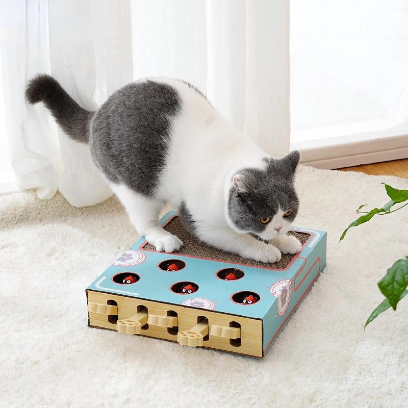 Cat Toy Whack-a-Mole Cat Scratching Board Toy Grinding Claw Rest ...
