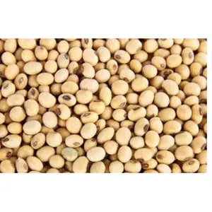 kedelai bahan baku tempe dan sari kedelai