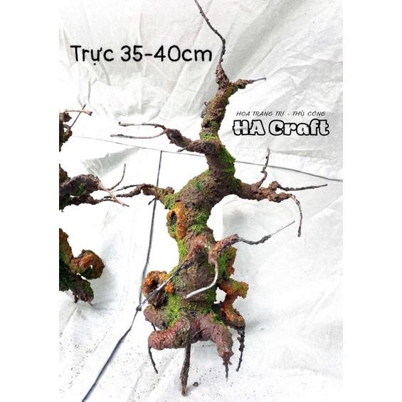 Thân cây bon-sai dáng Trực khoảng 40cm làm hoa mai, đào Handmade hoa trang trí Tết S0243