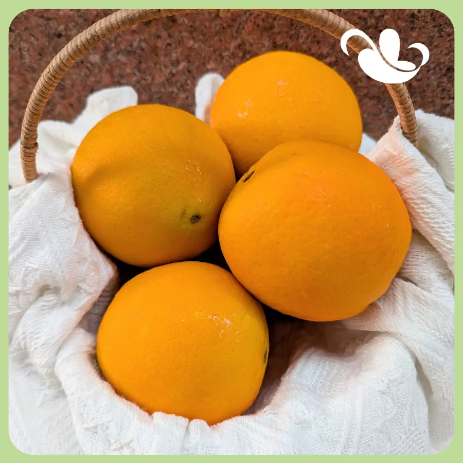 Cicin Garden - Cam Đài - 1kg