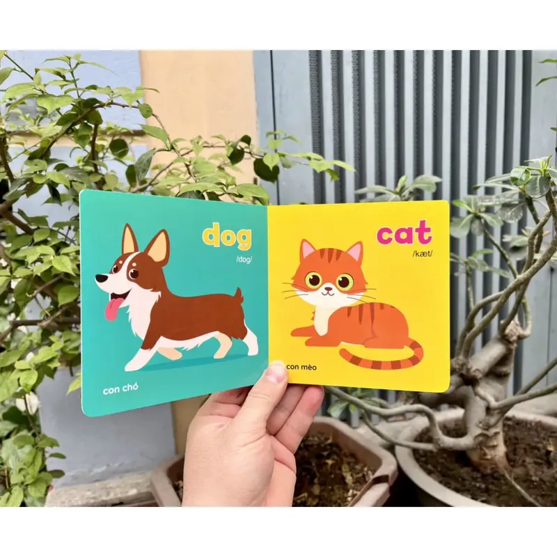 Bộ Sách 8 Cuốn Bìa cứng thư viện hình ảnh đầu tiên cho bé Baby First Picture Book Song Ngữ Việt Anh 5