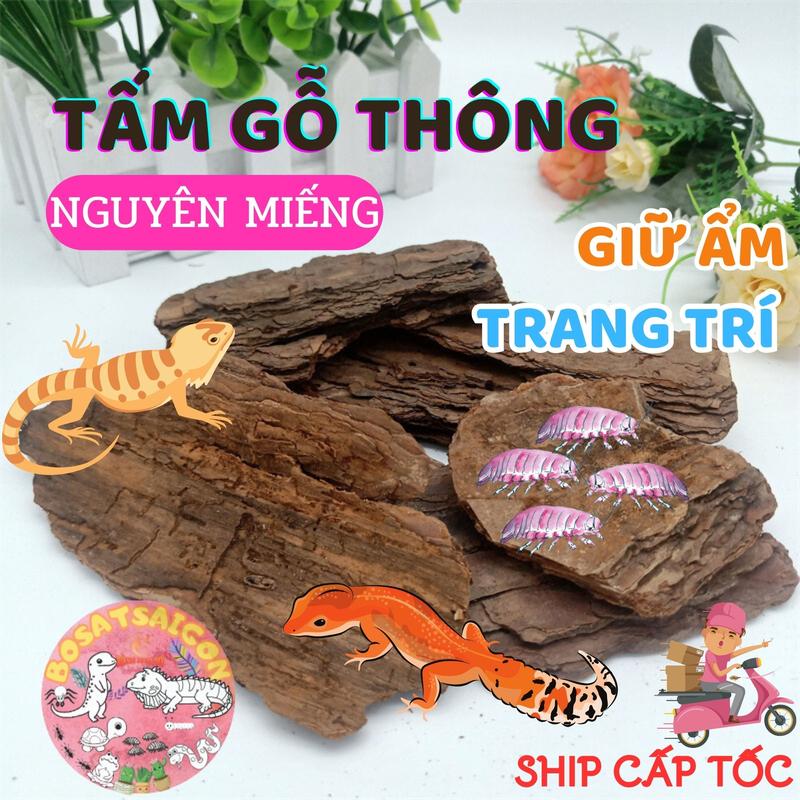 MIẾNG GỖ THÔNG TỰ NHIÊN HANG TRÚ ẨN CHO CHUỒNG BÒ SÁT ISOPOD NHỆN BỌ CẠP TẤM…