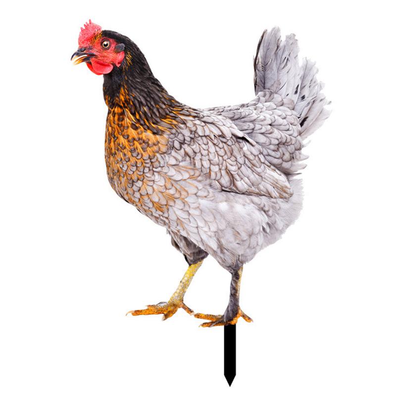 Rooster Decor Realistic Life-like Ornamental Double-sided Printing Acrylic Garden Statue Chicken for Yard 3