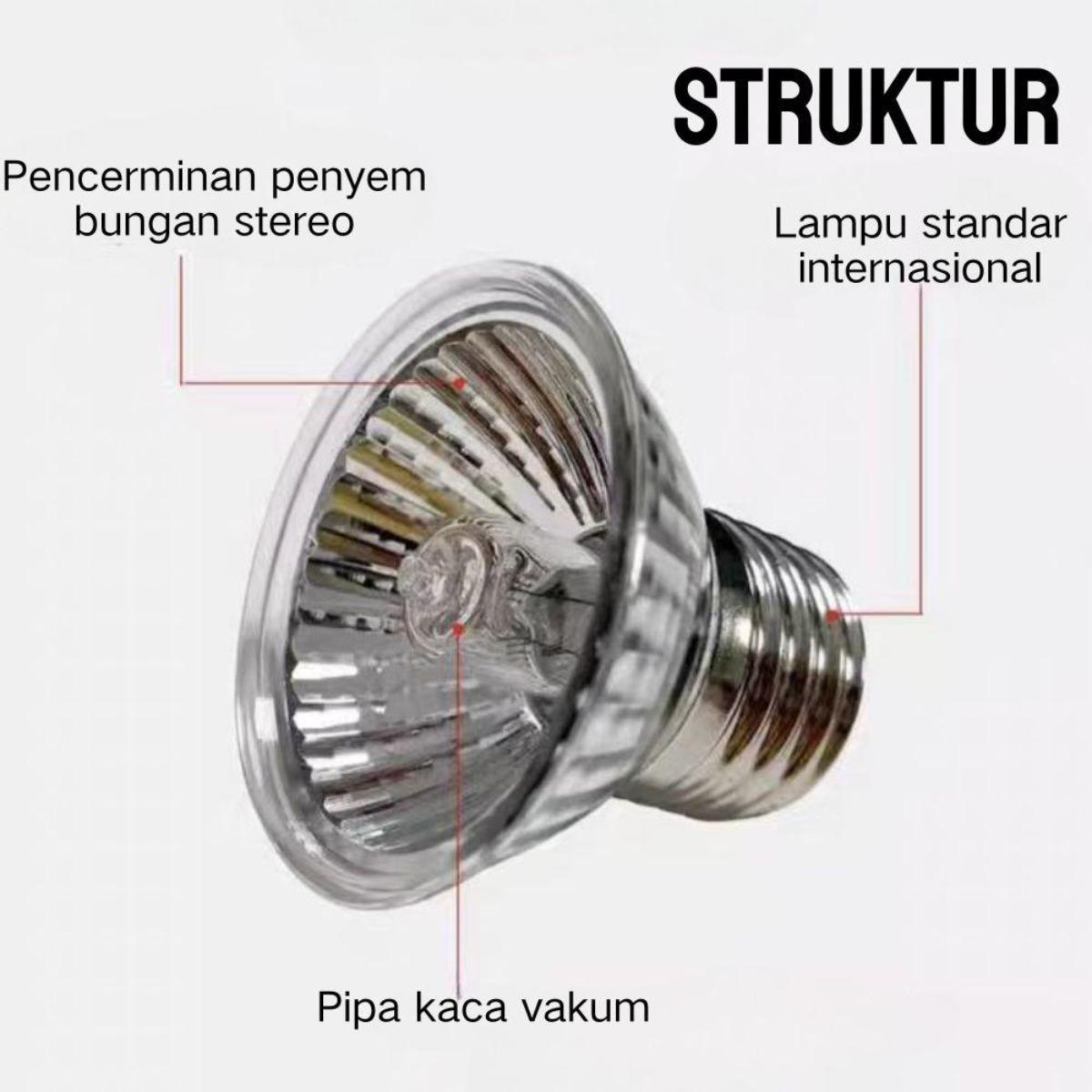 Terbaik untuk Ikan Kadal & Buaya: Lampu Kepiting Berjemur UVB & Pemanas, Suhu & Kecerahan Dapat Disesuaikan – Model [Model Name], Panjang [Panjang cm], Lebar [Lebar cm]
