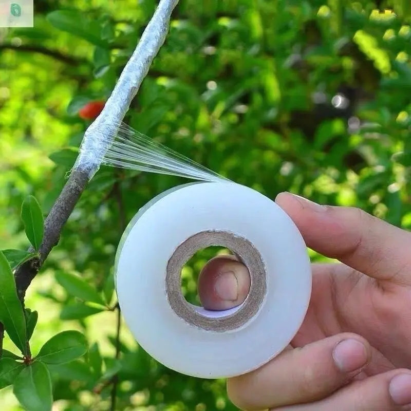 Combo 5 cuộn băng cuốn 3cm