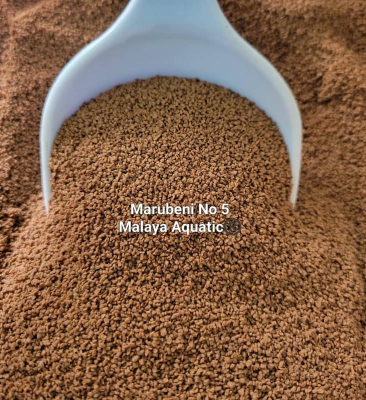 Marubeni Nishhin Feed (Pellet No 5 Saiz Kasar) Ikan Guppy / Betta / Ikan Laga [Repack 250g & 500G]