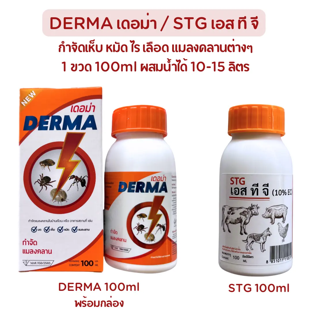 DERMA เดอม่า / STG เอส ที จี ผสมน้ำฉีดพ่นกำจัดเห็บ หมัด ไร เลือด แมลงคลานต่างๆ 1 ขวด 100 มล.
