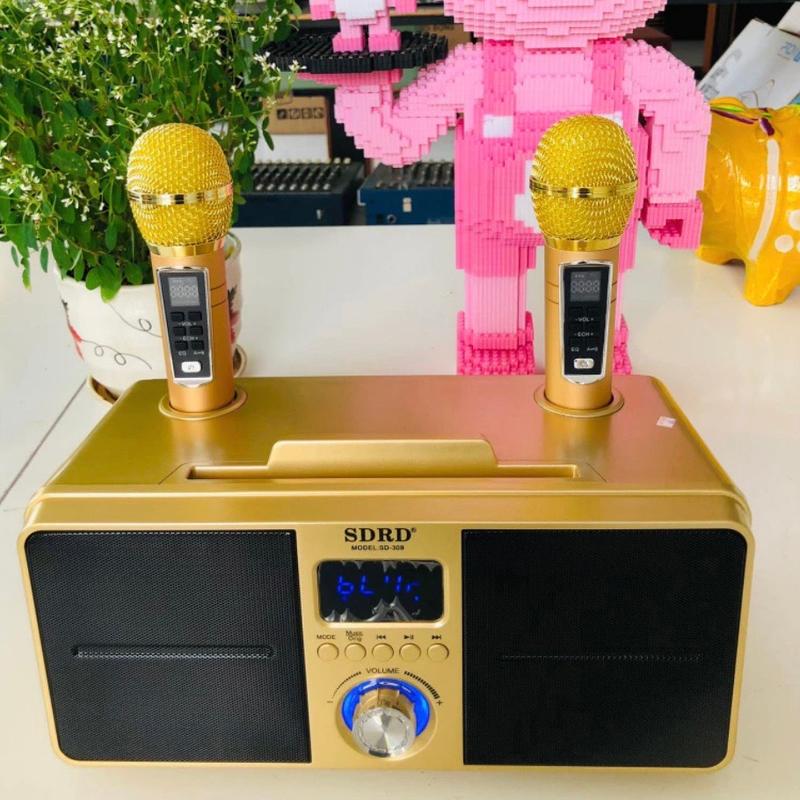 Loa karaoke bluetooth SD-309 - Tặng kèm 2 micro không dây - Dung lượng pin lớn - Chất lượng âm thanh cao cấp - Kem Củ Loa
