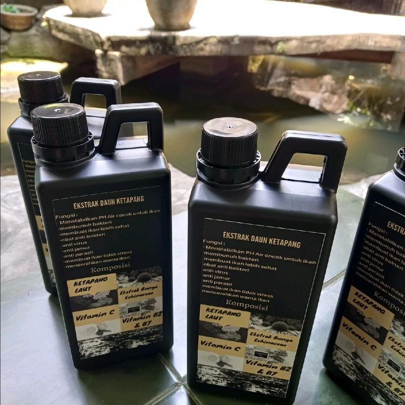 Ekstrak Ketapang Laut 1 Liter 3