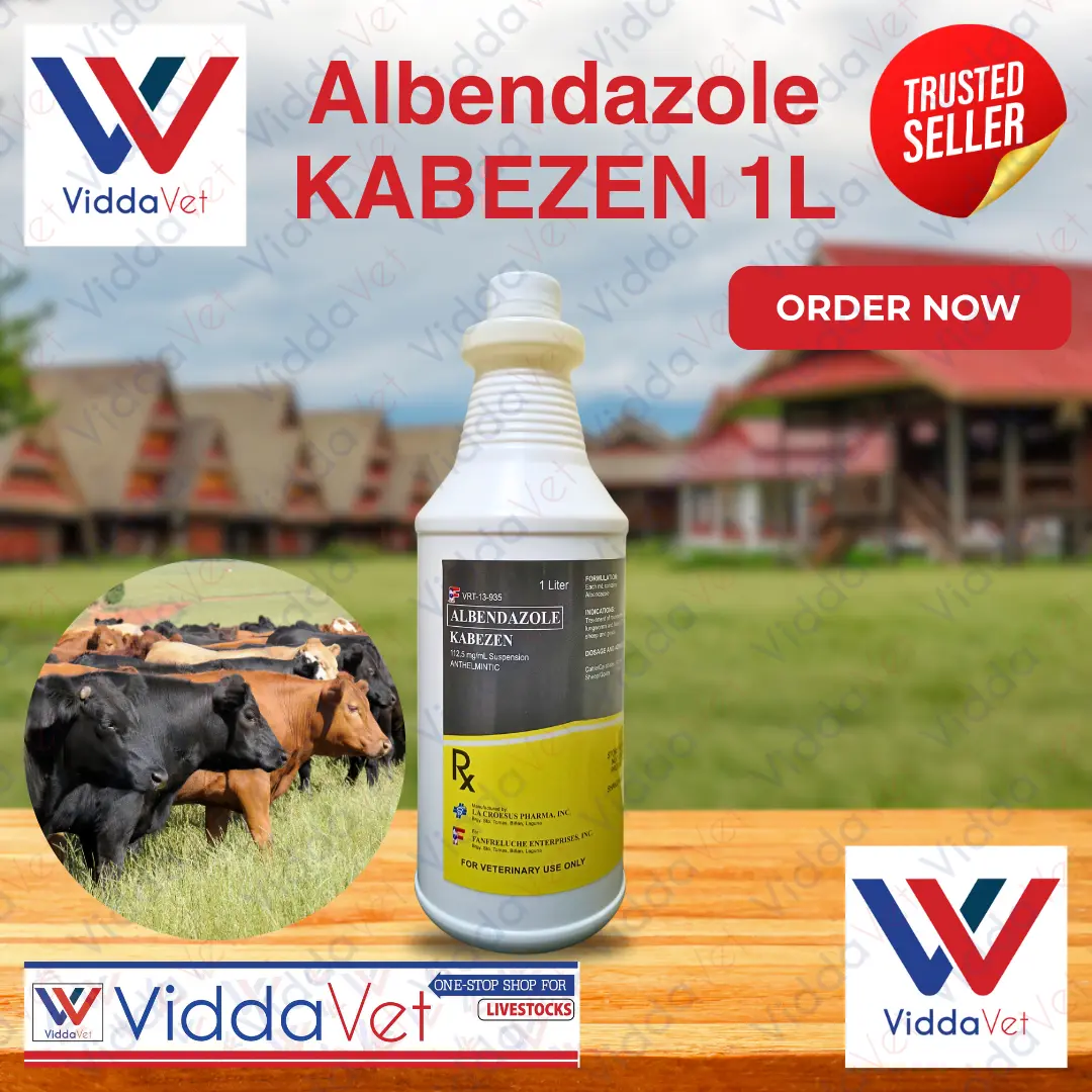 1liter Albendazole KABEZEN suspension dewomer for cattle sheep goat ...