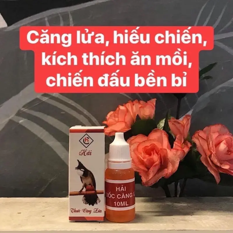 Vitamin Căng Lửa Phạm Công Hải 0