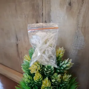 Sarang walet bersih kakian/terian/patahan (Harga Per gram)