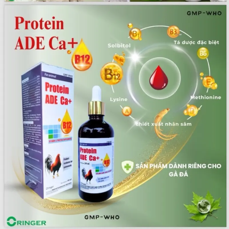 Protein ADE Ca+B12 (100ml) uống nuôi dùng cho đá, mau lên cơ, tăng bo, lì đòn, hừng hực, sung , tăng đề kháng  vào chế độ tốt.  nuôi tổng hợp cho gà tơ xung căng 5