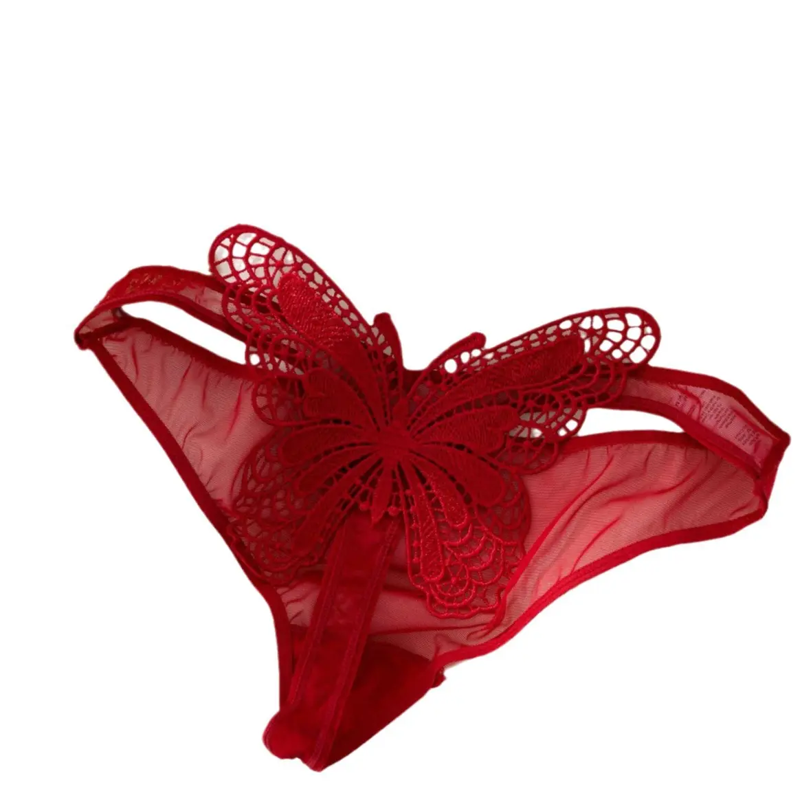 Fully Transparent Embroidered Thong Female Temptation, Big Bow Mesh See-through T-pants Sexy
