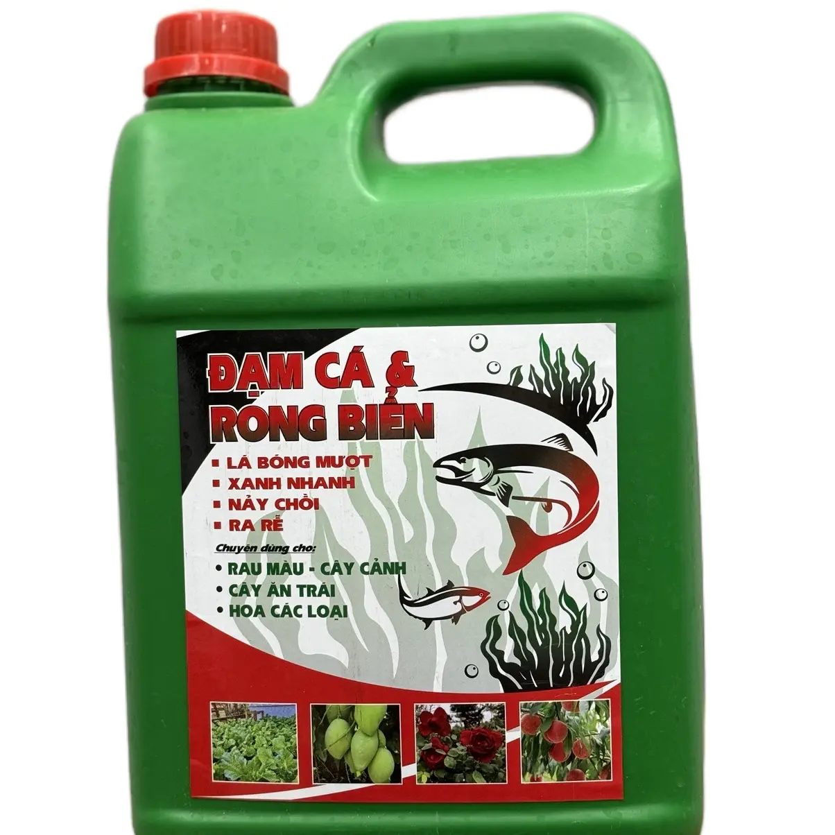 Can 5lít ĐẠM CÁ - RONG BIỂN phân bón hữu cơ cho cây cảnh, ra rễ mạnh, lá bóng mượt, xanh nhanh, bật mầm, mầm to khoẻ