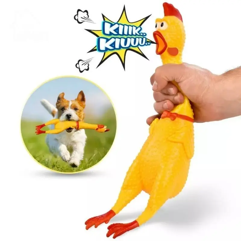 Mainan ayam pencet bersuara bersuara, shrilling chicken, Ayam teriak