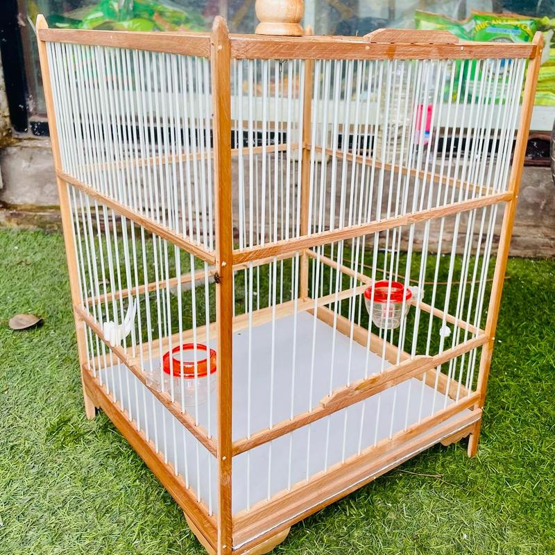 Khung lồng ép mộc chim chào mào choè dễ dàng lắp ráp đầy đủ phụ kiện đi kèm