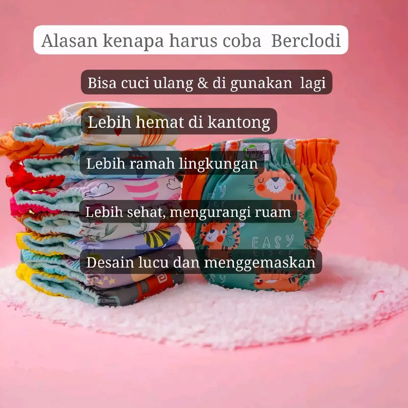 Popok Bayi Cuci ulang Aio ningrat Drypant  Reguler san Jumbo popok kain Bayi Clody Diaper Clodi 6