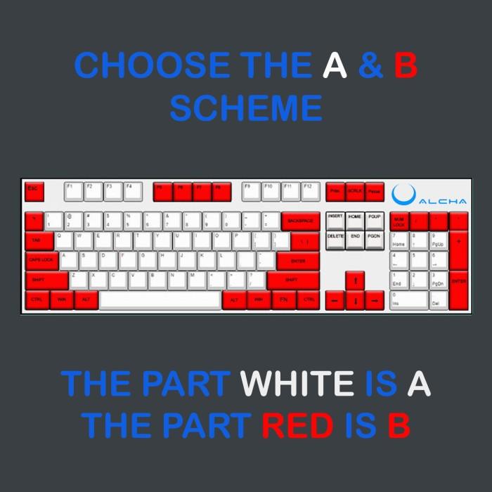 ALCHA KEYCAPS PBT DOUBLE SHOT CUSTOM MIX 2 WARNA MECHANICAL KEYBOARD - RANDOM 2