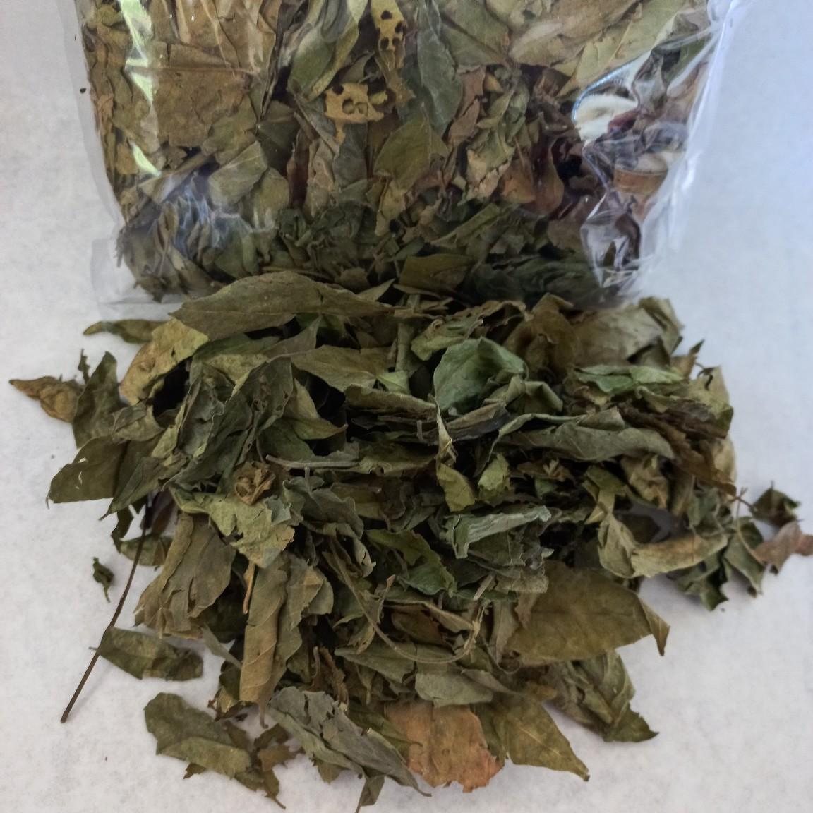 Daun Kari Kering / Daun Salam Koja untuk Rempah Masakan - 50gr