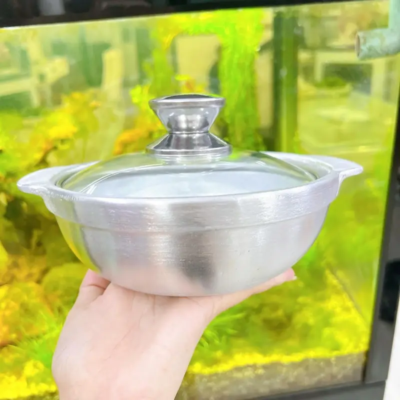 Thố gang NẮP KÍNH kho quẹt, kho cá, nấu cơm niêu, tiện lợi đẹp mắt ngon miệng - Nồi gang nắp kínhthoso 6