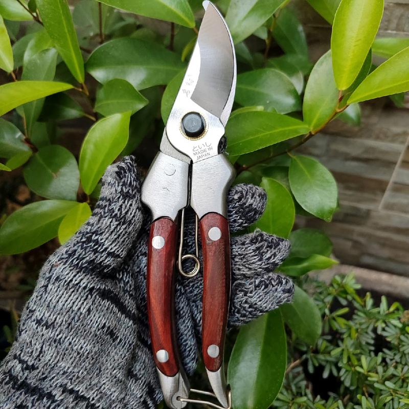 Kéo cắt cành cán gỗ tốt Nhật Bản