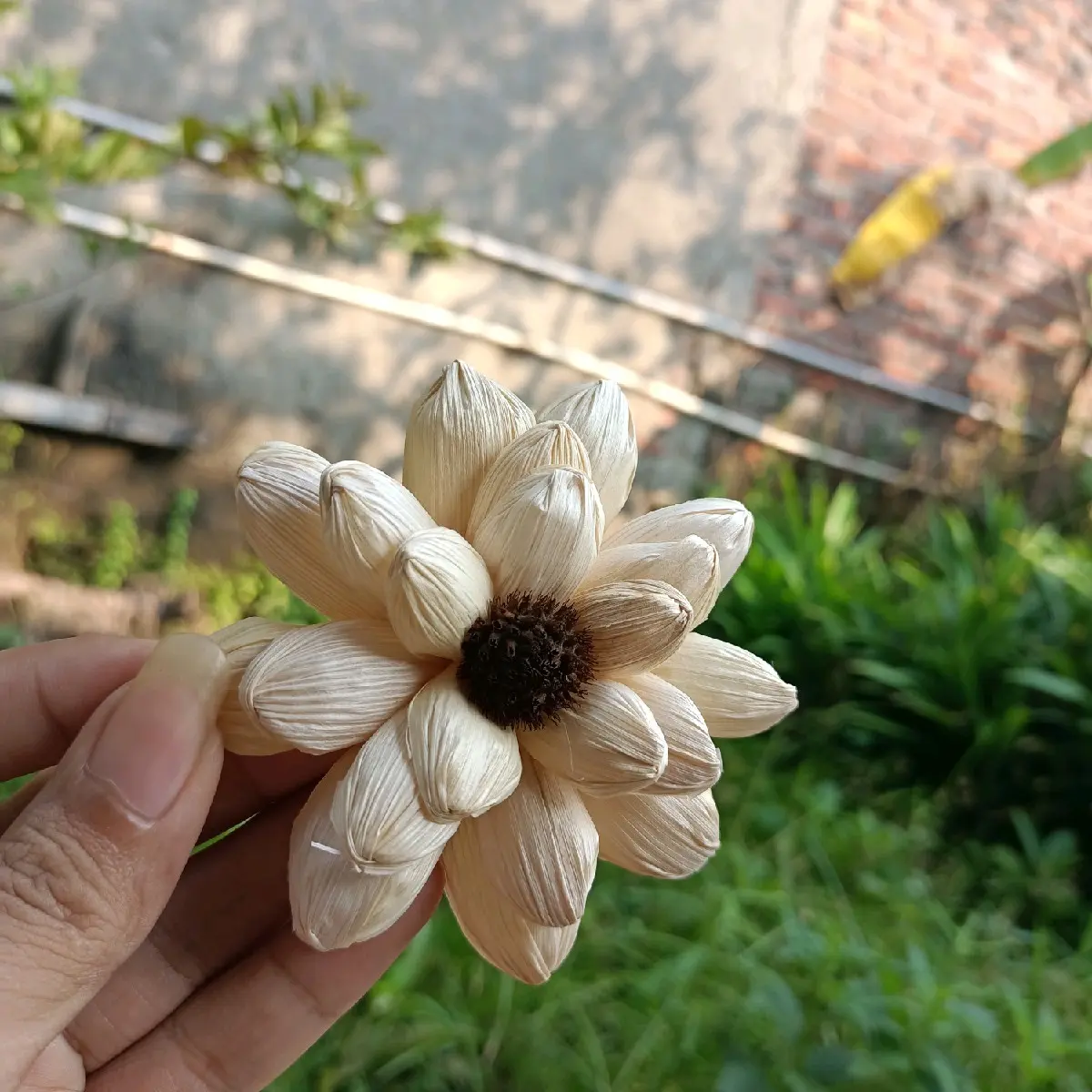 Grosir Bunga Klobot Jagung Murah isi 5 biji