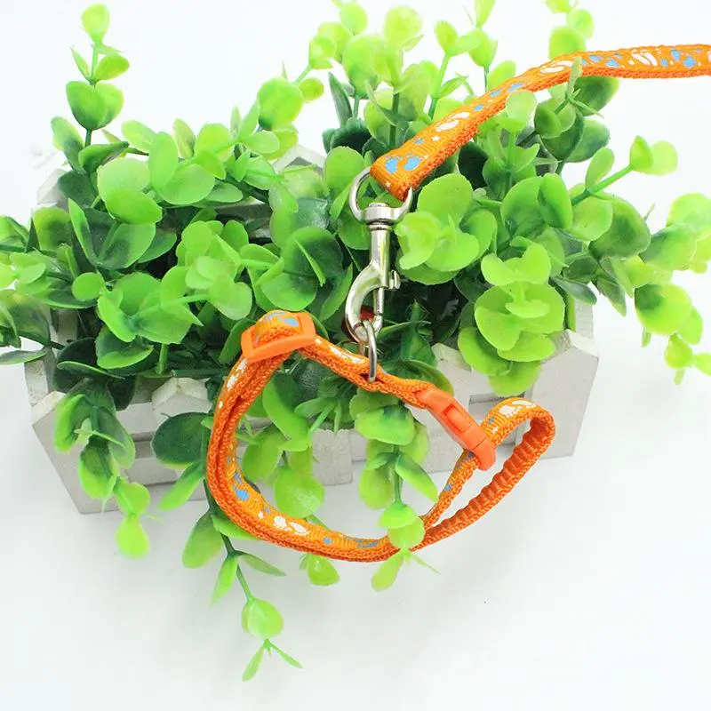 Dây Xích Thú Cưng, Thiết Kế Đính Đá Dày, Có Chuông, Vòng Cổ Chó Nhỏ Kèm Dây Xích Chó, Dây Thừng Cho Chó Mèo, Rộng 1.0 8