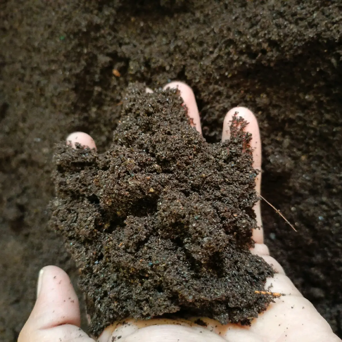 pupuk organik kotoran walet 1.kilo gram
