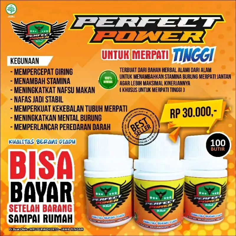 JAMU MERPATI PERFECT POWER ISI 100 BUTIR PERFECT POWER MERPATI JAMU ...