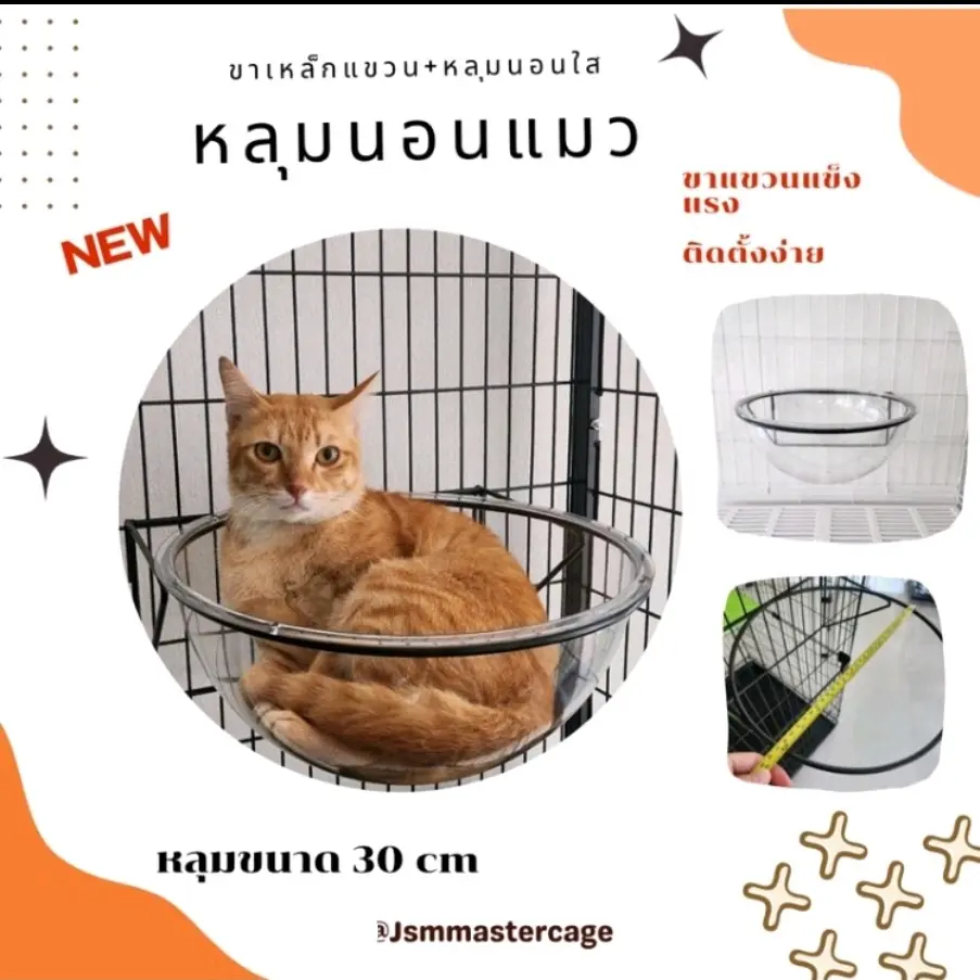 หลุมอวกาศ ติดในกรง ขาแขวนหลุมอวกาศ ที่นอนแมว ชัันอนแมว