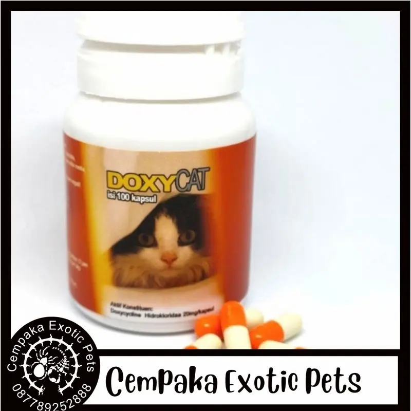 Doxycat Doxy Cat Im Organic - Obat Flu Kucing Doxy Cat Flu Ecer Per 5 kapsul
