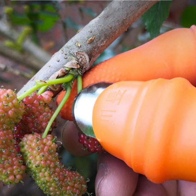 Product Introduction of Farm Vegetable Fruit Picker Pickle Pepper Pickle Tip Picker Iron Nail Pick Grape Picker for Garden Orchard and Vegetable Patch 30