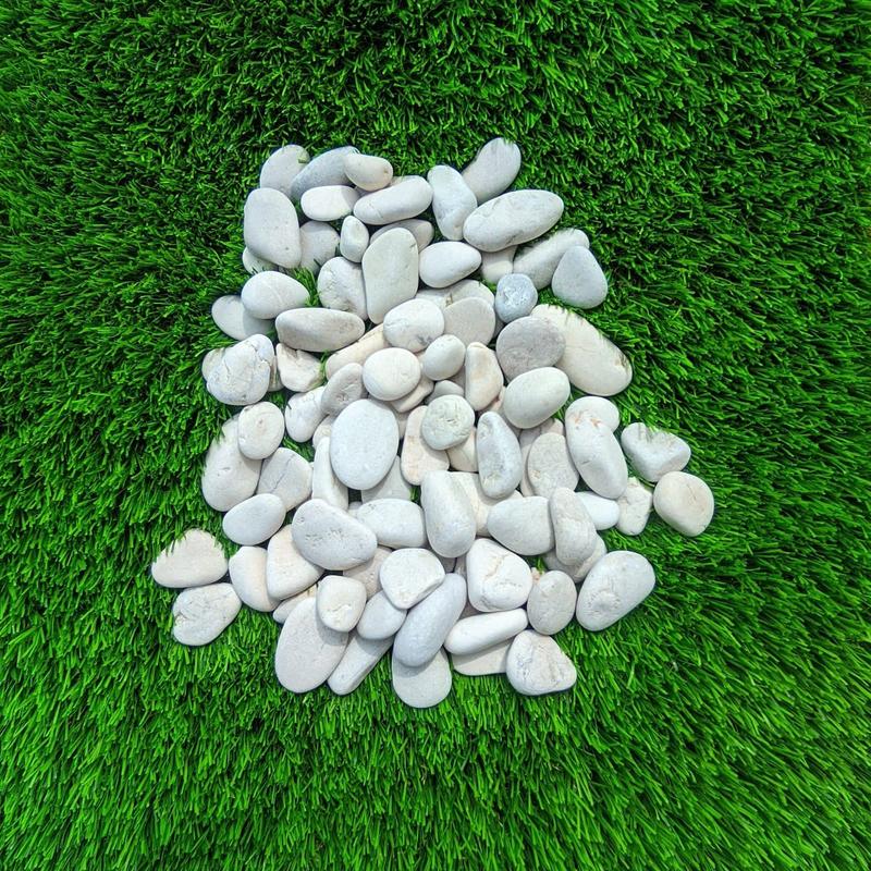 Product Introduction of BATU KORAL PUTIH 10 KG - BATU TAMAN / BATU HIAS PUTIH 12