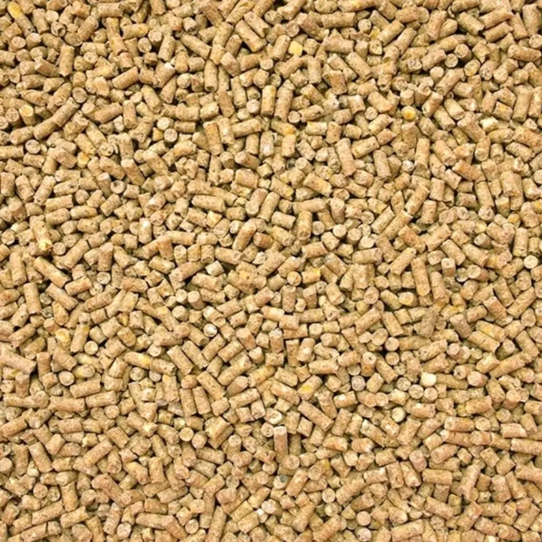 Thức ăn hỗn hợp dàng cho Gà, vịt, chim kiểng.