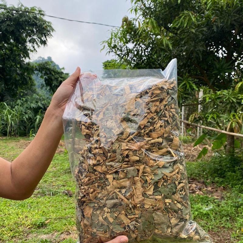 500g Trà lá mâm xôi khô Tea Nước Trà Chè 1