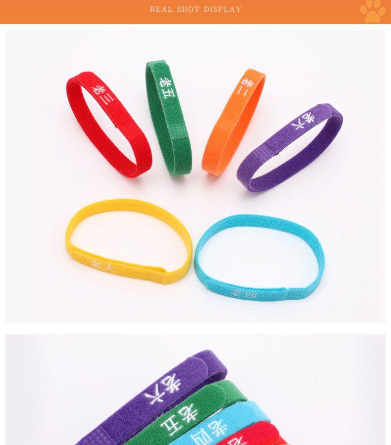 Product Introduction of Vòng Cổ Phân Loại Thú Cưng, Hàng Mới Về Năm 2025, Dành Cho Mèo Con Và Chó Con, Vòng Cổ Nhận Dạng, Thích Hợp Cho Chó Con Và Mèo Sơ Sinh, Vòng Cổ Thứ Tự Sinh, Thích Hợp Cho Chó Sữa 9