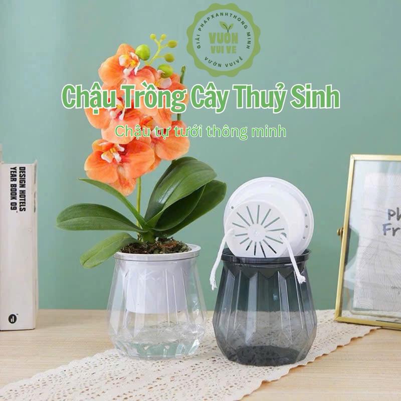   COMBO 2 CHẬU  Chậu trồng cây thuỷ sinh Chậu tự tưới thông minh kế Ruby xᶖnh xắn sang trọng decor không gian 
