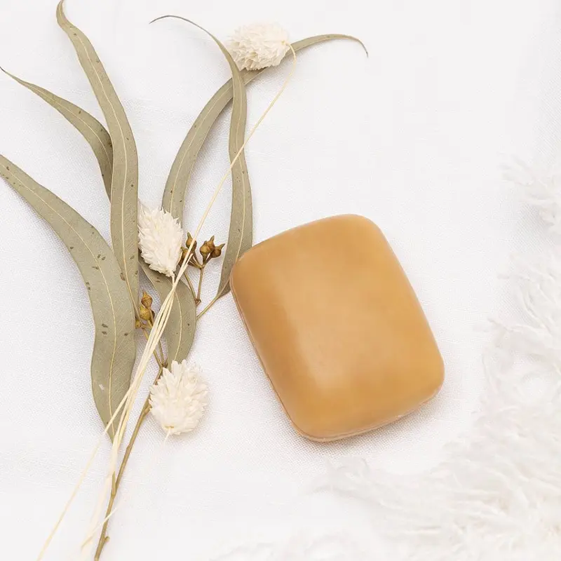 Xà Phòng Tắm Khử Mùi Cơ Thể Chiết Xuất Quả Hồng Pelican Family Soap KSB (80G) 3