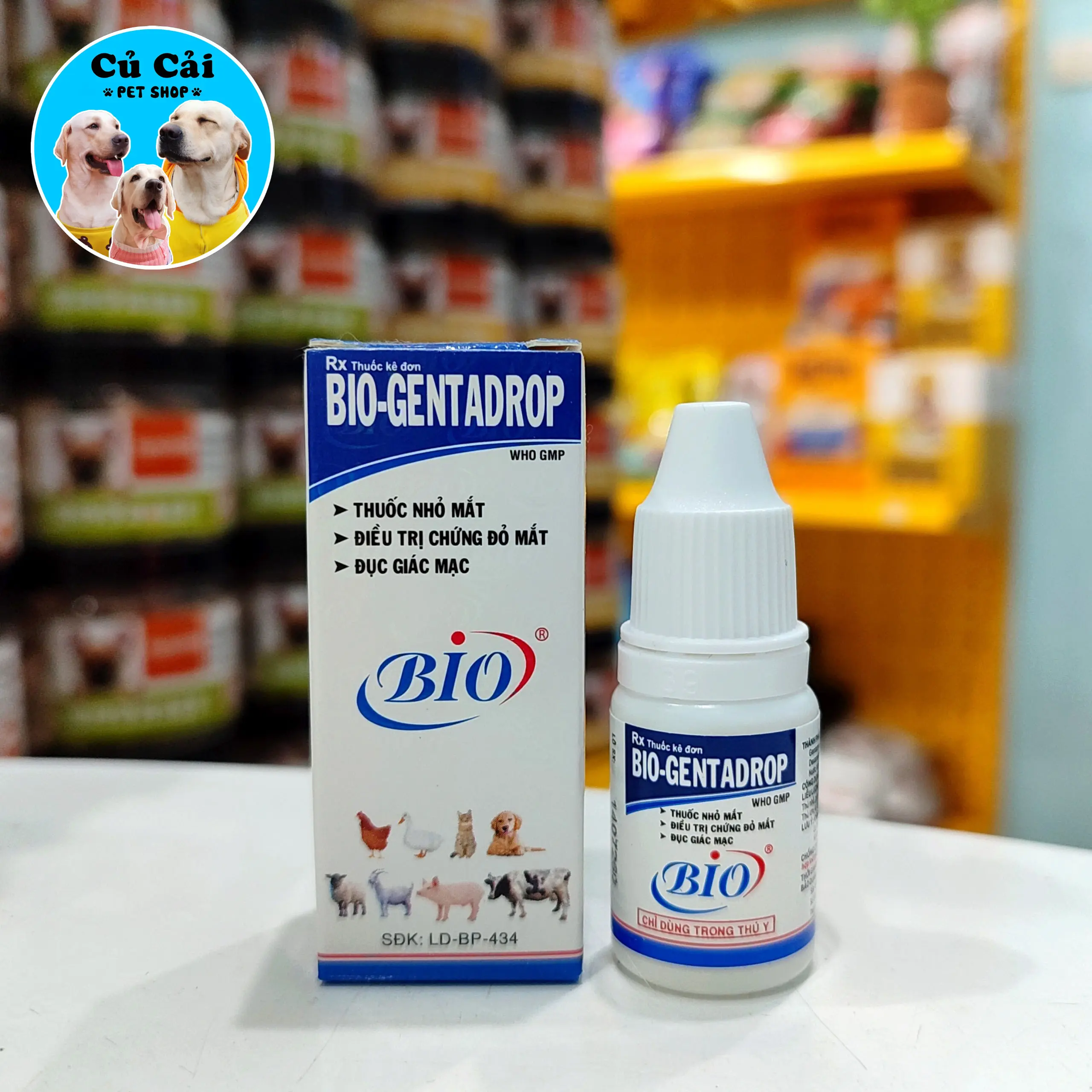 Dung dịch Nhỏ mắt cho Chó Mèo Bio-Gentadrop 10ml
