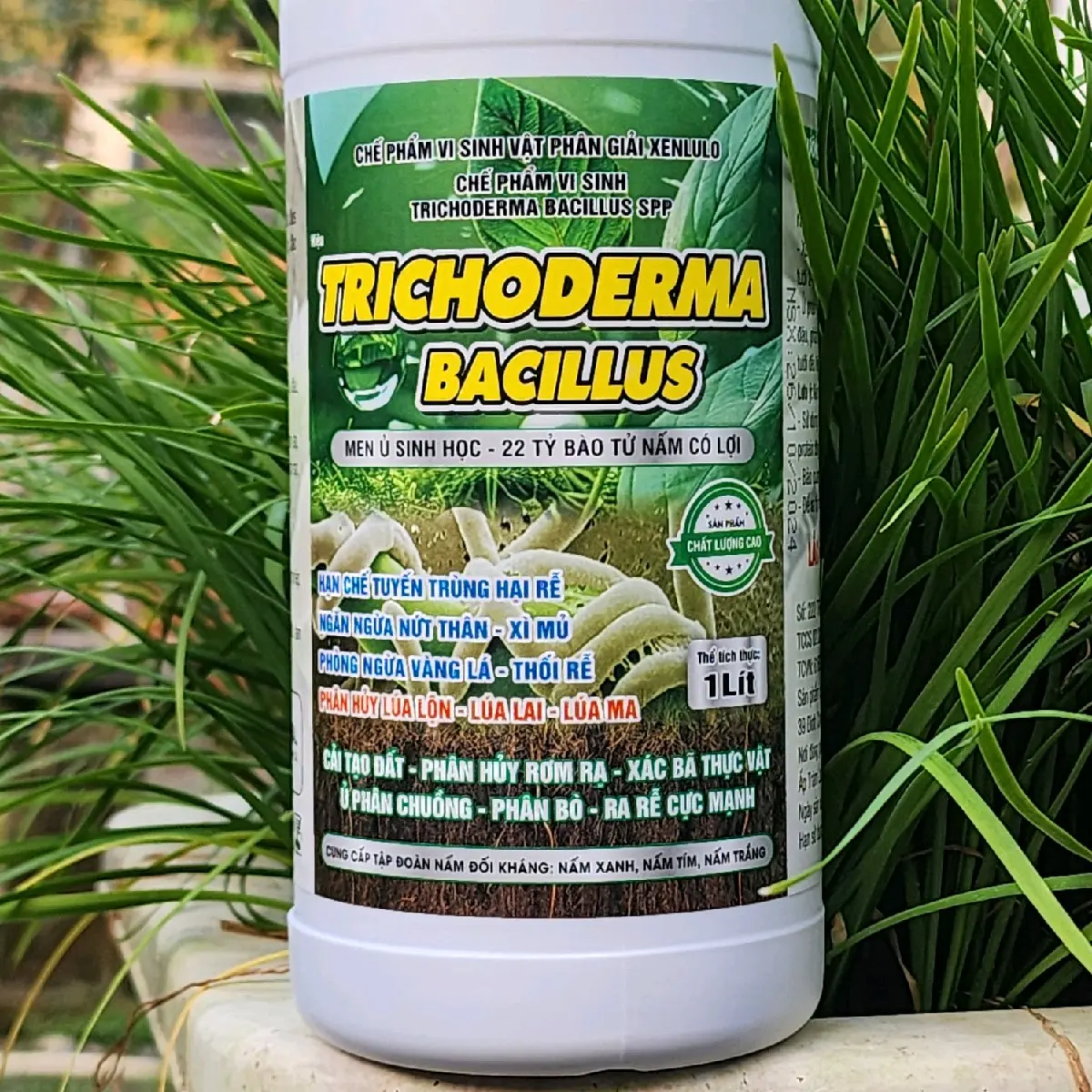 Chai 1 lít Tricoderma giúp tiêu diệt tuyến trùng , ngăn ngừa nứt thân xì mủ, vàng lá thối rễ, quản lý lúa lẫn lúa lai.. pha 400 lít nước men vi