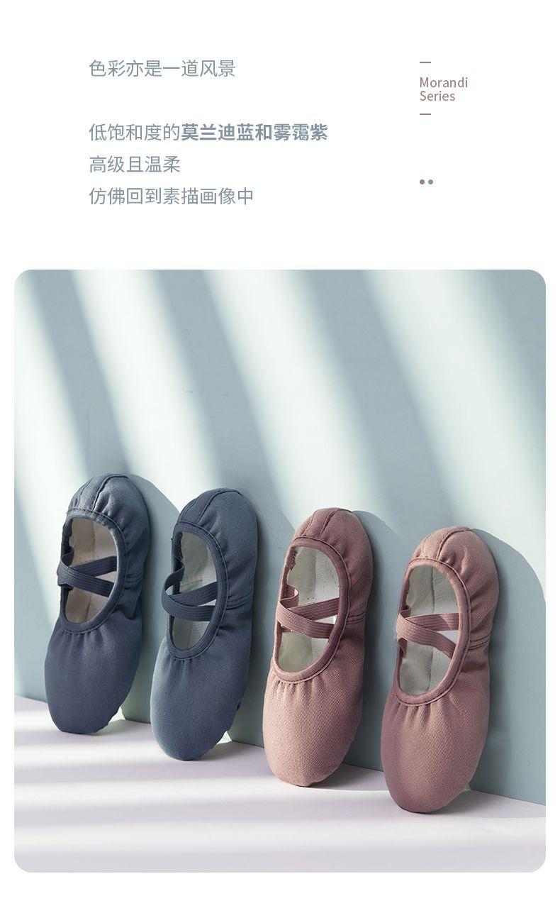 Product Introduction of 2025 Dance Shoes for Adults Ballet Shoes Ethnic Dance Shoes for Women Soft Sole Dance Shoes for Women Adult Dance Shoes 4