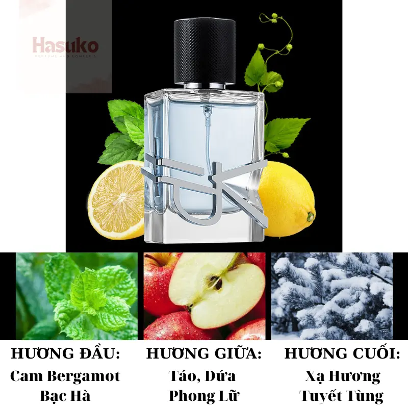 Nước Hoa Nam Chính Hãng Thơm Lâu Nam Tính Jean Miss YVP, Phong Cách Nam Tính, Dung tích 50ml Perfume Xịt Thơm 5