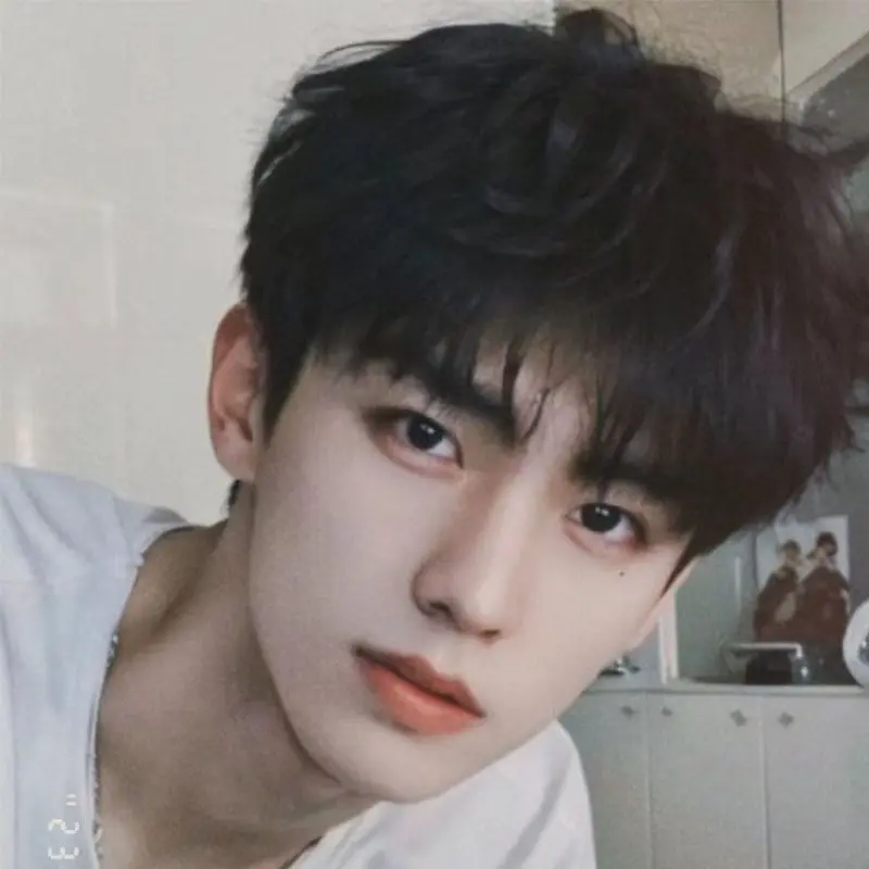 Japanese Style Men's Hair Handsome Natural Daily Short Straight Hair Student Short Hair Fluffy Korean Style Temperament Full Top Style