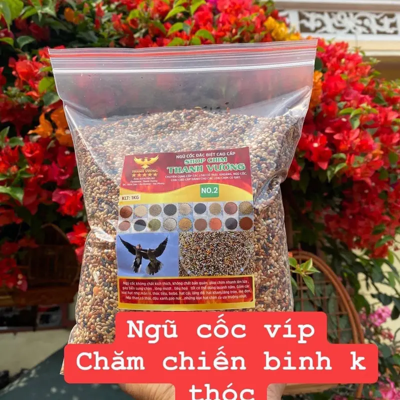 Ngũ cốc 18 loại hạt đặc biệt giúp chim cu gáy căng lửa. 0