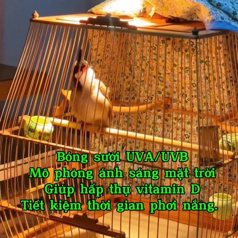 New Đèn sưởi ấm cho thú cưng - mô phỏng ánh sáng mặt trời, tạo tia UVA, UVB tốt cho lông và xương 2