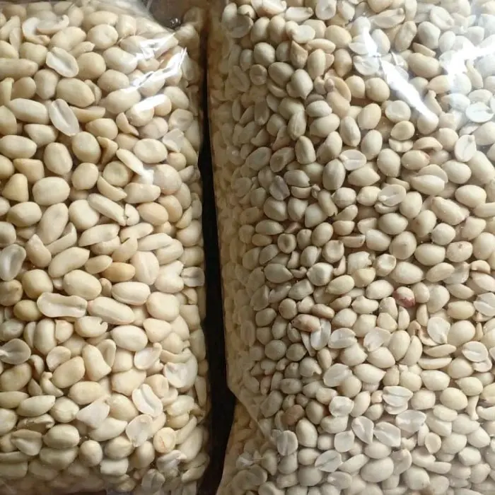 kacang bawang mentah 500 g siap Goreng